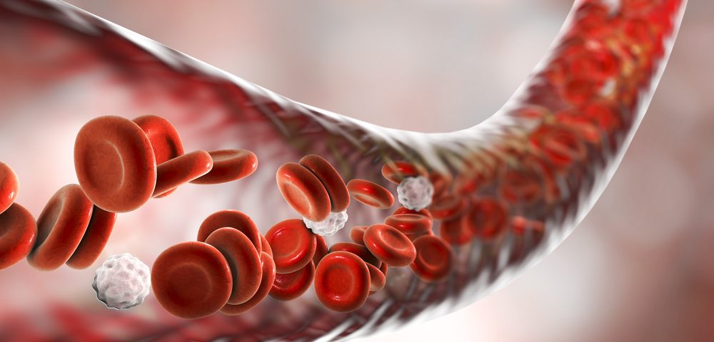 Image result for red blood cells